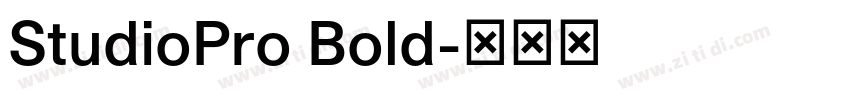 StudioPro Bold字体转换